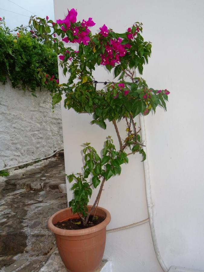 Fotis House Koróni Exterior foto
